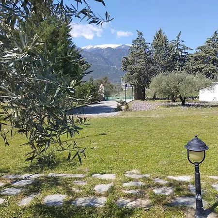 Holiday home Zeusplace Olympus Olive 1 Leptokarya (Pieria)