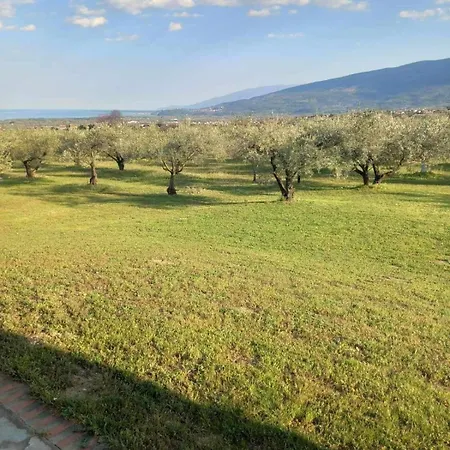 Zeusplace Olympus Olive 1 * Leptokarya (Pieria)