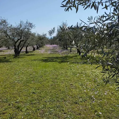 Holiday home Zeusplace Olympus Olive 1