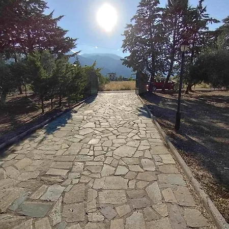 Zeusplace Olympus Olive 1 Leptokarya (Pieria)