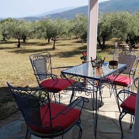 Zeusplace Olympus Olive 1 Leptokarya (Pieria)