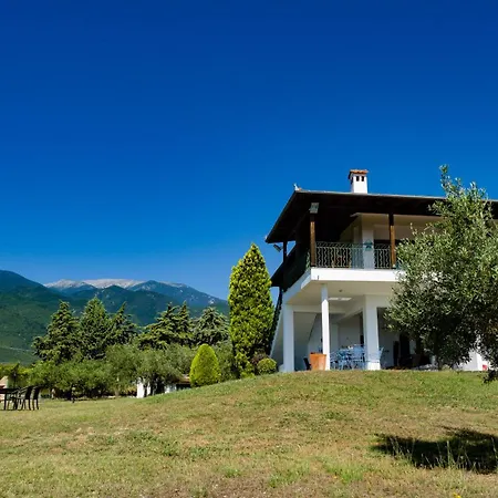 Holiday home Zeusplace Olympus Olive 1 *