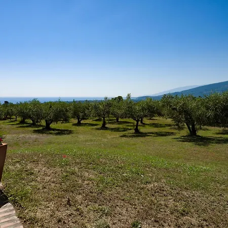 Zeusplace Olympus Olive 1 Ground Floor * Leptokaryá