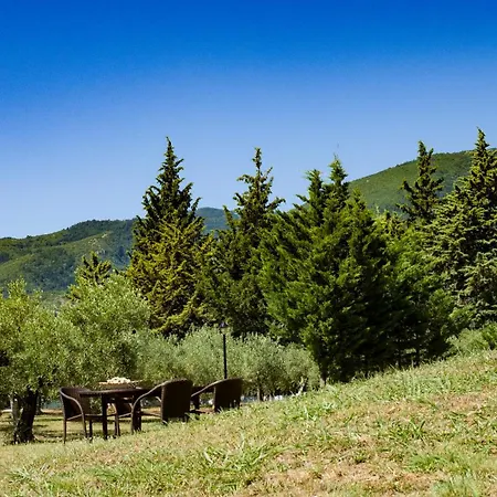 Holiday home Zeusplace Olympus Olive 1