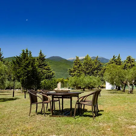 Holiday home Zeusplace Olympus Olive 1 Leptokarya (Pieria)