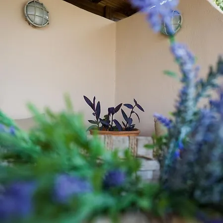 Holiday home Zeusplace Olympus Olive 1