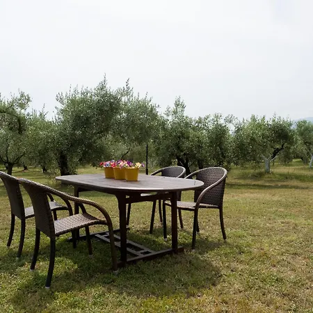 Zeusplace Olympus Olive 1 Leptokarya (Pieria)