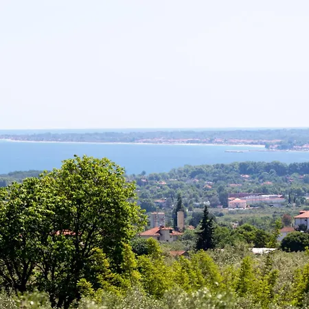 Zeusplace Olympus Olive 1 Leptokarya (Pieria)