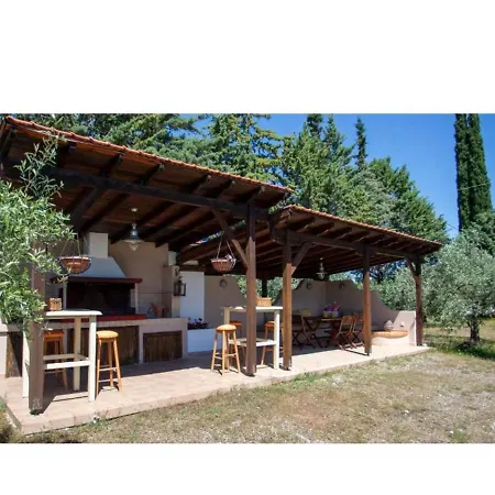 Zeusplace Olympus Olive 1 *