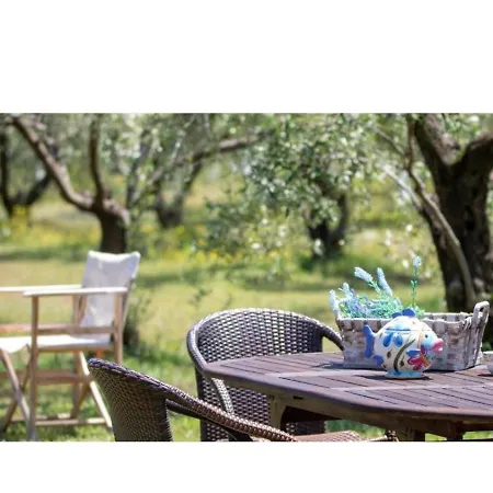 Zeusplace Olympus Olive 1 Leptokarya (Pieria)