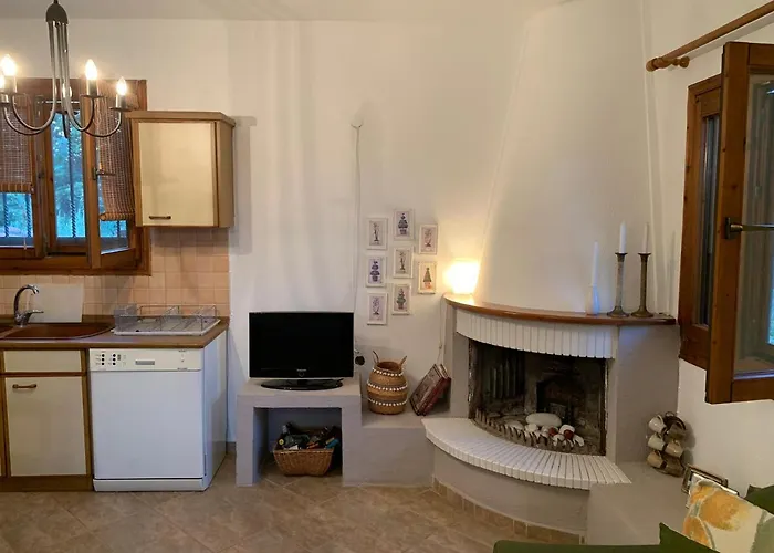Case de vacanță Zeusplace Olympus Olive 1 Ground Floor Leptokarya (Pieria)