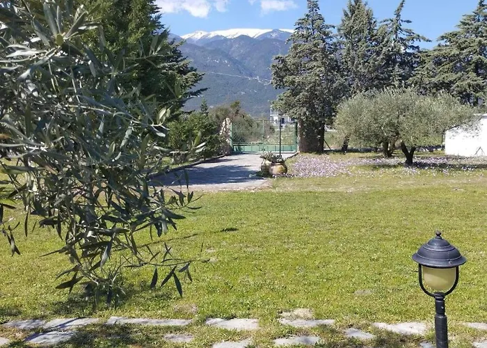 Case de vacanță Zeusplace Olympus Olive 1 Ground Floor Leptokarya (Pieria)