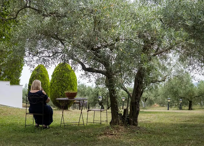 Zeusplace Olympus Olive 1 Ground Floor Case de vacanță Leptokarya (Pieria)